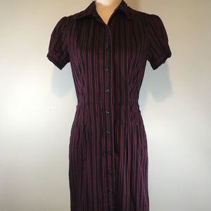 Banana Republic Fitted Buttoned Stripped Dress